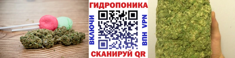 что такое   Яранск  Cannafood конопля 